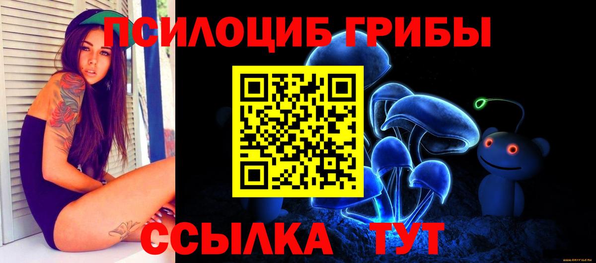 Псилоцибиновые грибы Psilocybe Лыткарино