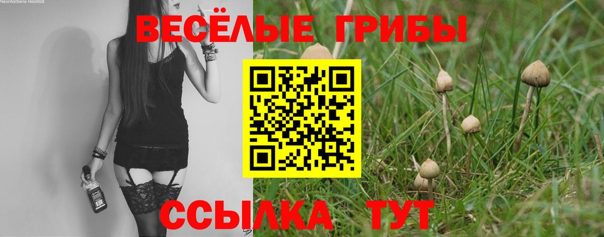 Лыткарино  Галлюциногенные грибы Psilocybine cubensis  Вход с VPN 