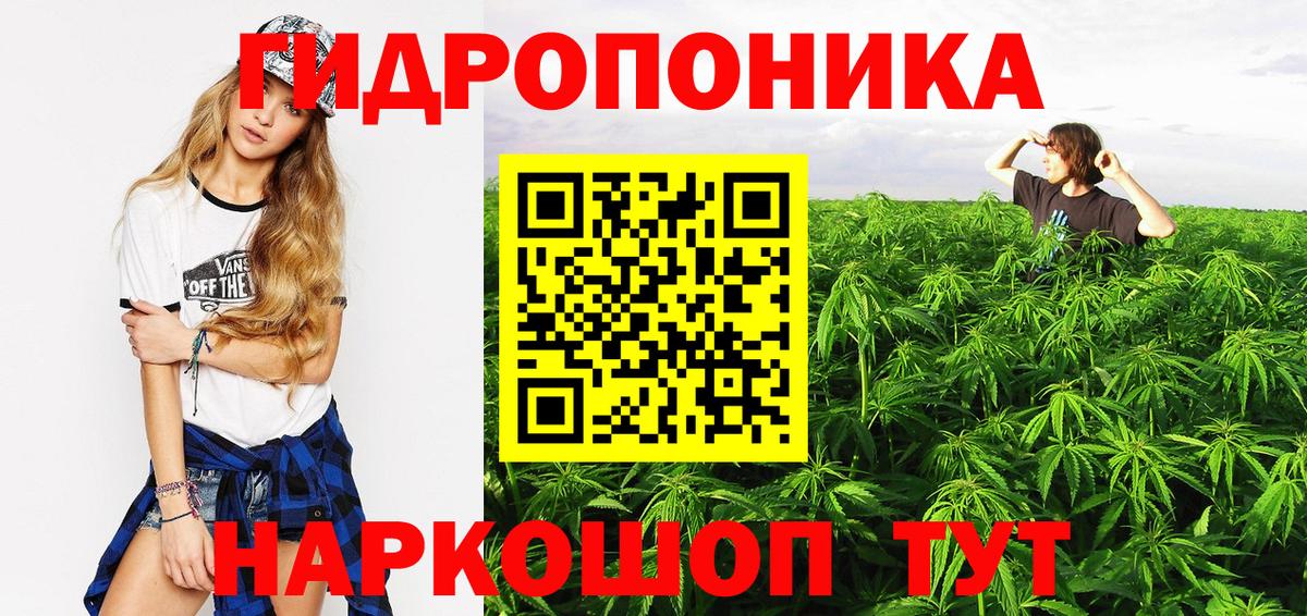 Бошки Шишки конопля  МАРИХУАНА OG Kush  Марихуана конопля  Шишки марихуана семена  Вход с VPN  Лыткарино 